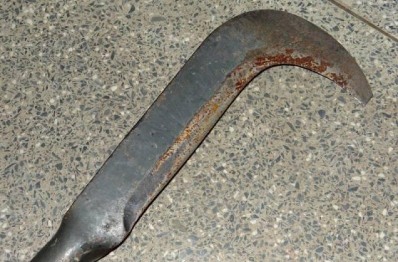 Homem mata primo a golpes de foice durante festa em Simões