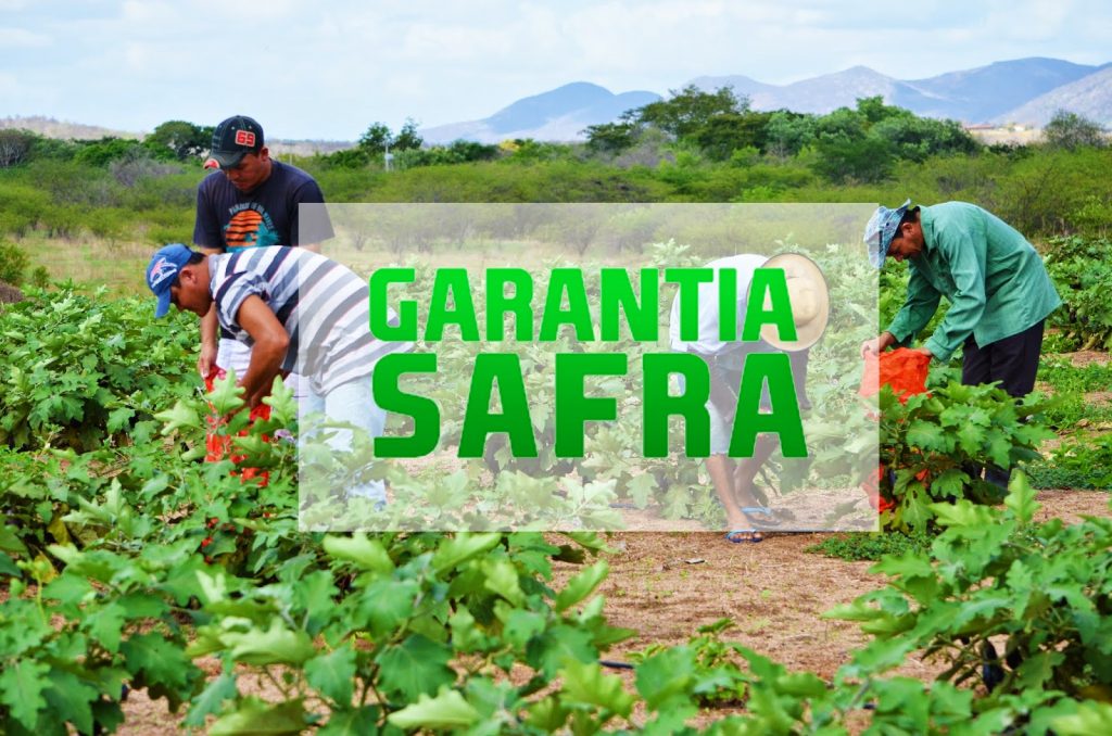 garantiasafra